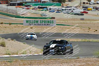 media/May-07-2022-Cobra Owners Club of America (Sat) [[e681d2ddb7]]/White/Session 3 (Turn 3)/